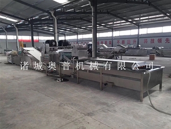 Leafy vegetables cleaning line